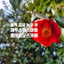 와산리경로당 이미지