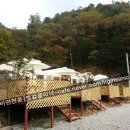 펠리즈글램핑 | *가평1박2일여행* 가평펠리즈글램핑코스,제이드가든과 레일바이크까지! 펠리즈글램핑후기★