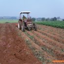 창대농장 이미지