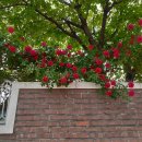 농성초등학교 이미지