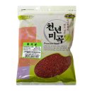 천년의 뜰 이미지