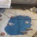 타히티모텔 이미지