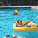 그래이프힐 이미지