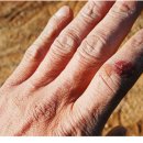 가온목장 이미지