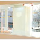 쿨 애견미용 이미지