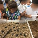 우솔초교병설 이미지