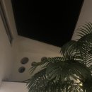 강상면 백병길 이미지