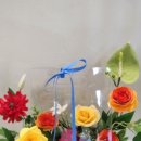 지정샘유치원 이미지