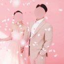 바시움 스튜디오 핑크 배경 콘펜티씬