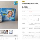 포코목장 네이버블로그