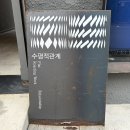수평적관계 - 중구 국채보상로 460-8 | 대구 삼덕동 카페:) 수평적관계 내돈내산 후기 🍃💚