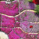 대궐 - 안양시 동안구 평촌대로223번길 16 | 대궐