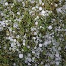 우박이네 이미지