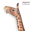 시그니아 보청기 서대문센타 이미지