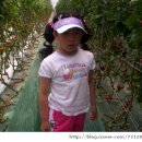 강경농장 이미지