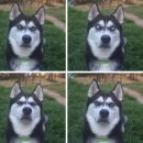 허숙희네 이미지