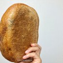 딩켈언덕 이미지