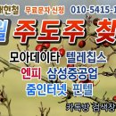 개미아빠 배 현철 2월 6일 대응전략 이미지
