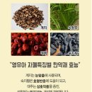 호명한의원 이미지