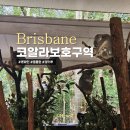 한국진돗개육종연구소 | 호주 브리즈번 여행 론파인 코알라보호구역 입장권 이용후기