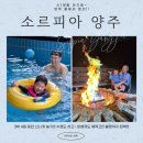 소르피아 양주 이미지