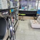 새롬세탁 이미지