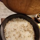 엄용백 낙돈 Daum카페
