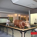 농경생활사박물관 이미지