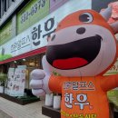 초원알프스한우