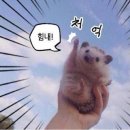직장인 해외구매대행 부업일지 #3 통신판매업 신고 후기 되도록 1월에 신청하세요 신고증 상호명 이슈