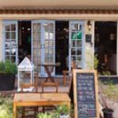 동탄나무로 이미지