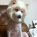 빵실빵실 - 양주시 옥정서로 254 | 빵실빵실