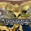 오늘은핫도그 이미지
