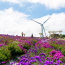 청화웰니스 이미지