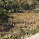 대가야 태양광발전소 이미지