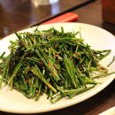 낙동생오리 이미지