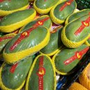 다마트 - 아산시 새아산로 20-16 | 대련 마트 쇼핑리스트 Aieat / 비요트마트 두 곳 다 가본 후기