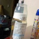 베이비루니툰 이미지