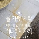 천안 불당동 카펫 세탁 후기 / 묵은 먼지와 냄새까지 깨끗하게!