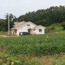 강상면사무소 이미지