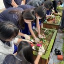 초록숲도서관 이미지