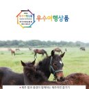 (주)뭉치 이미지