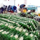 파티나인 이미지