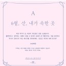 [용산] 삼각지 책방 독립서점 &lt;청안시&gt; 추천 후기