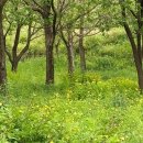 세븐일레븐(창원외동점) 이미지