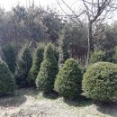 덕정농장3 이미지