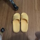 미주세탁 | LA 한인민박 추천 | 베니스 하우스 후기(LA 가성비 한인민박)