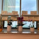 서울특별시서북병원 이미지