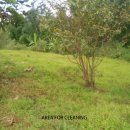 태일농장 이미지