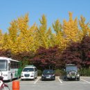 성안드레아 병원 이미지